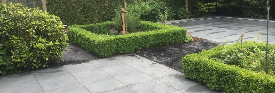 Grijze terrastegels met buxushagen in een achtertuin aan de Kamperhoeve in Hattem